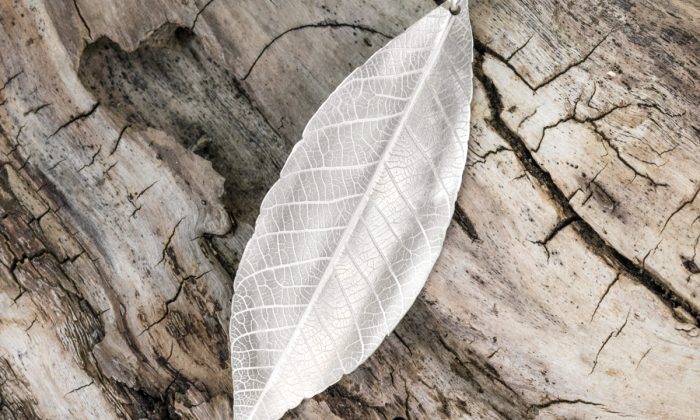 Silver leaf pendant on a drift wood background