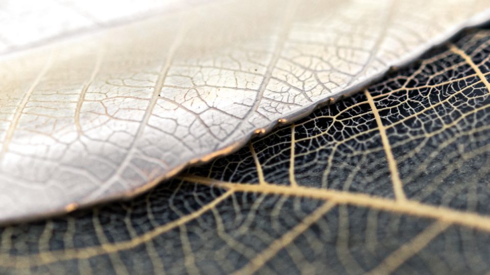 Detail of a silver leaf pendant